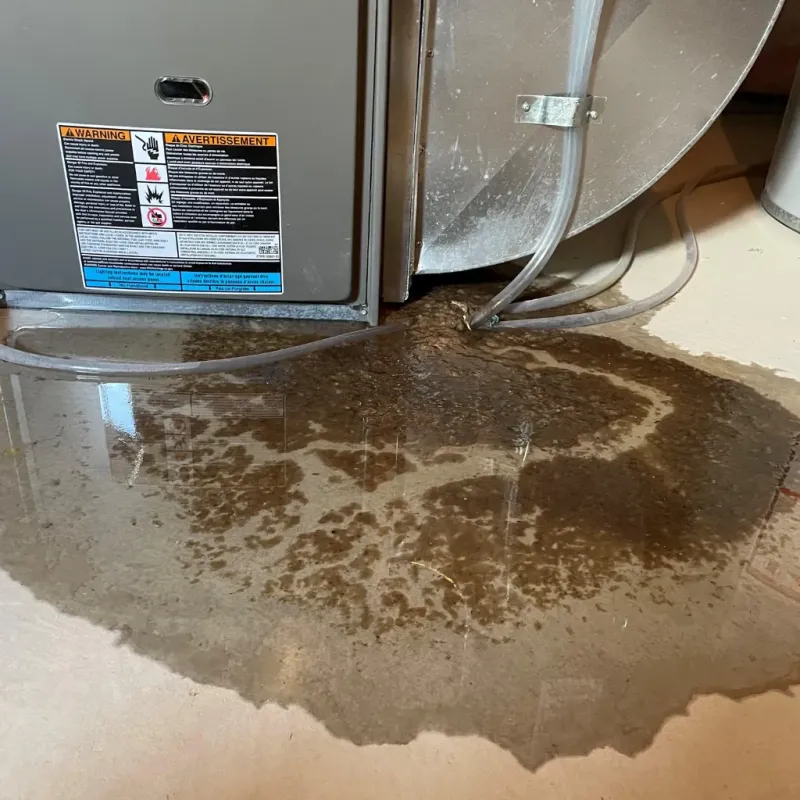 Appliance Leak Cleanup in Berry, AL