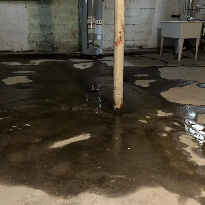 Emergency Water Extraction And Removal in Berry, AL